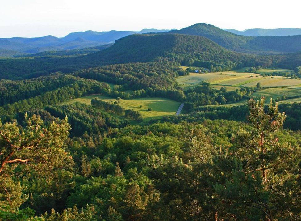 Blick vom Puhlstein auf die Burgruine Drachenfels und den Pfälzerwald - Foto: Klaus Klonig