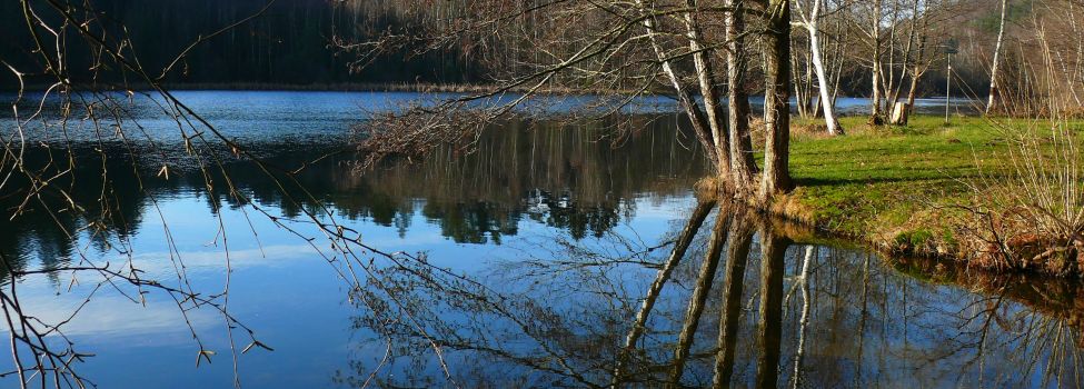 Naturbadesee Schöntalweiher -  Foto: Karl Heinz Bublin 