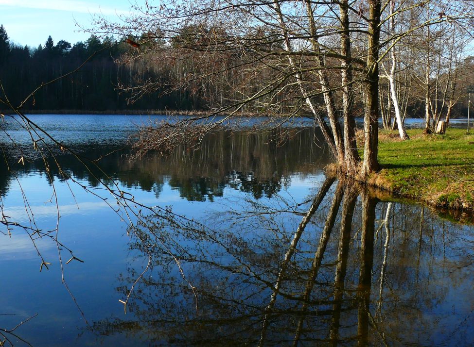 Naturbadesee Schöntalweiher -  Foto: Karl Heinz Bublin 