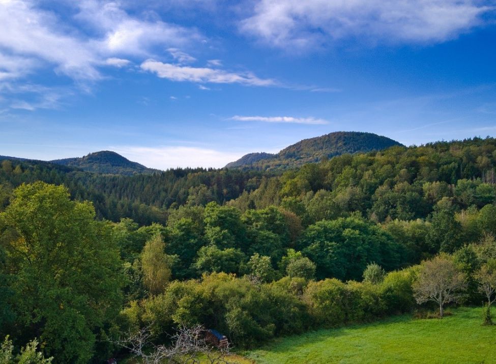 Blick auf den Söller - Foto: Karl Christmann