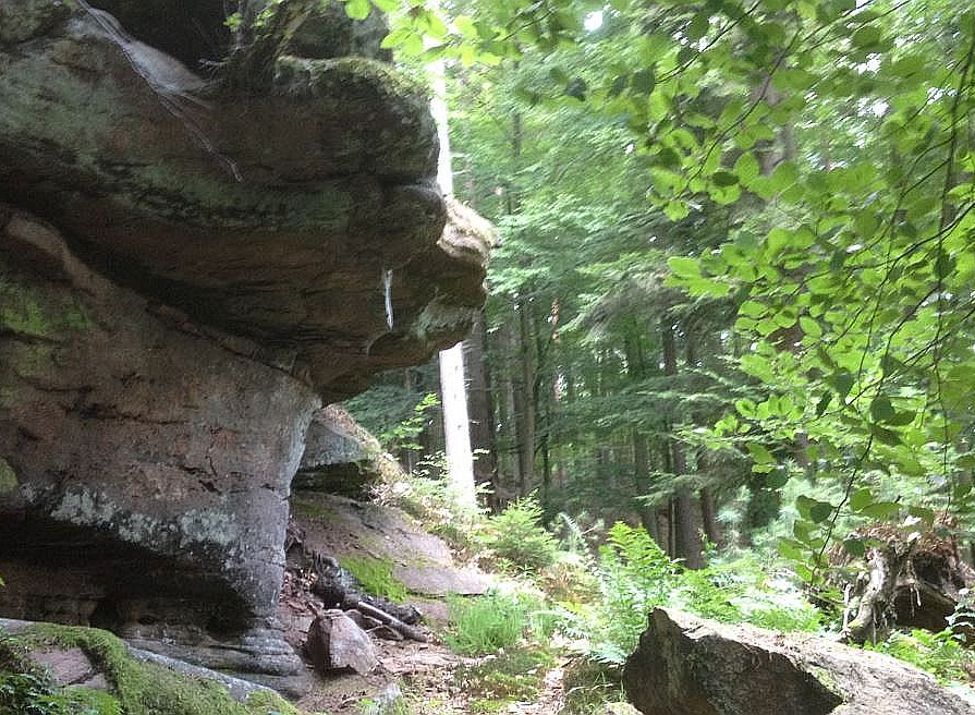 Blick vom Beutelstein - Foto: Klaus Burkhart