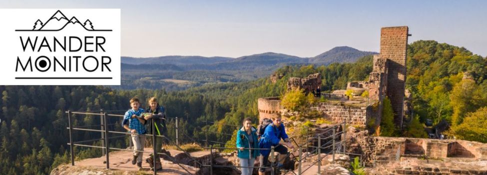 Burgruine Alt-Dahn_Foto: Dominik Ketz Pfalz Touristik