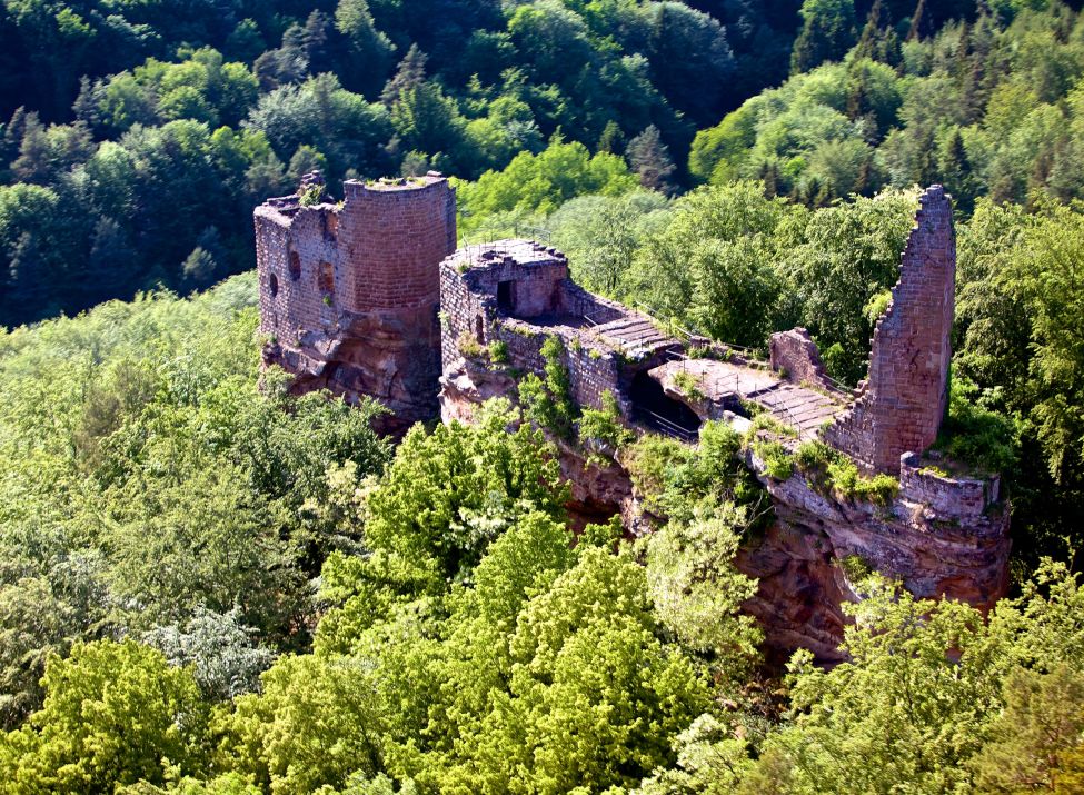 Burgruine Wasigenstein/Elsass - Foto Kurtz Groß